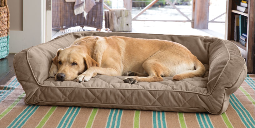 orvis dog pillow