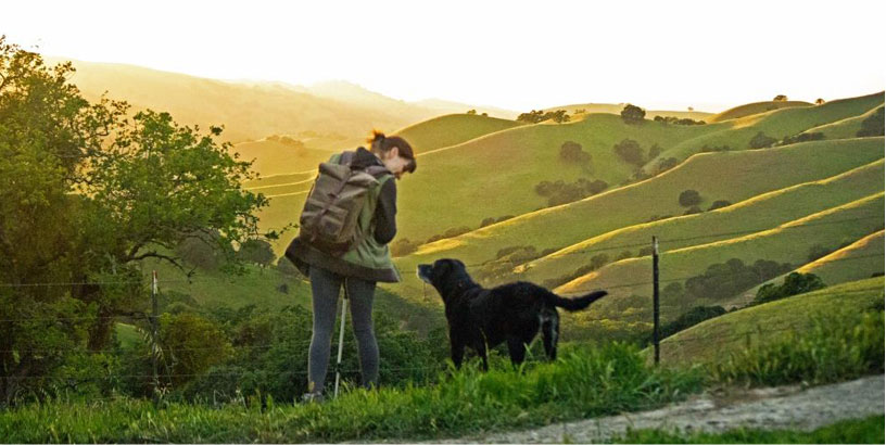 Hiking Safely with Your Dog