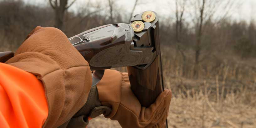 Selecting Shotgun Gauge for Upland Bird Hunting - Gun Dog