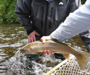 North Country Angler