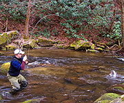 Fightmaster Fly Fishing