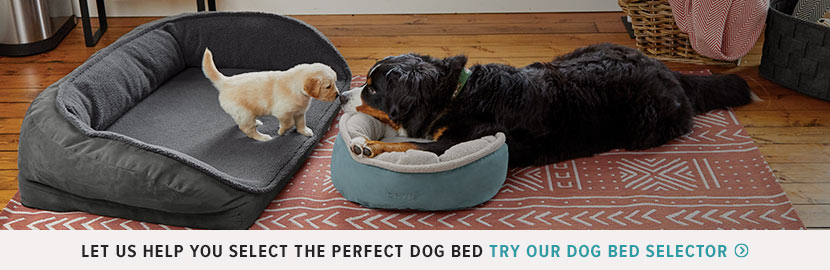 Dog Beds Memory Foam Toughchew Bolster Orvis Dog Bed Selector