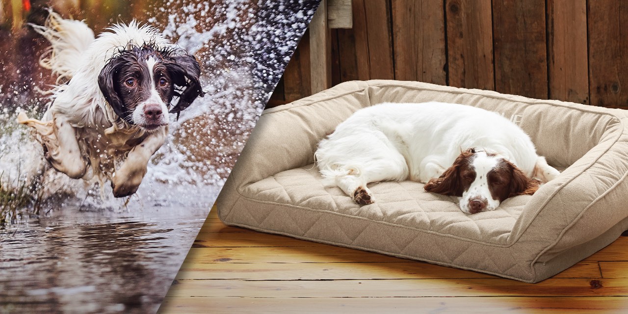 orvis waterproof dog bed