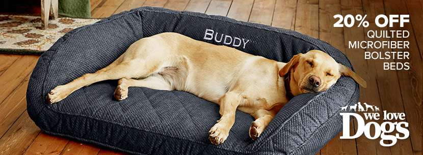 Dog Beds - Memory Foam, Toughchew, & Bolster Beds | Orvis