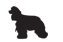 Cocker Spaniel