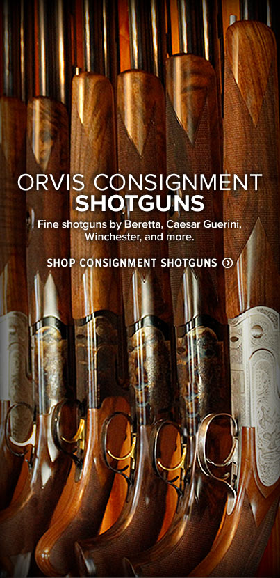 used gun dog equipment for sale