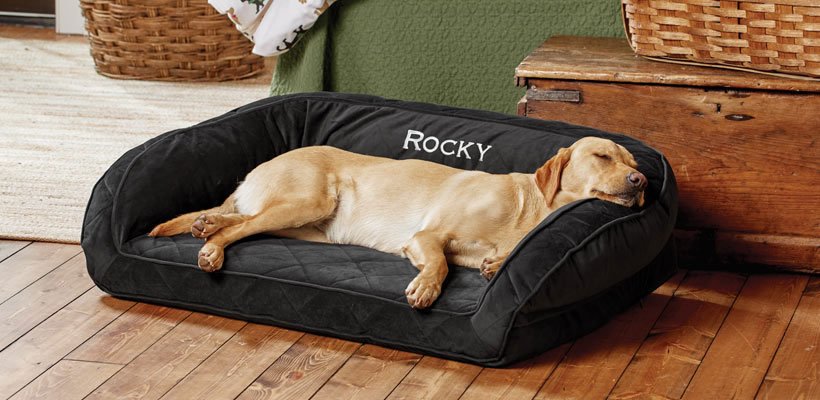 Choose the perfect bed for your dog!