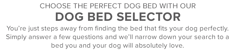 Choose the perfect dog bed with our dog bed selector