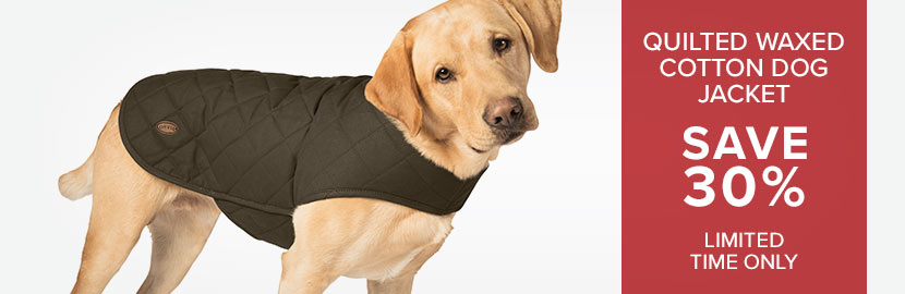 Dog Clothing - Dog Coats & Jackets | Orvis