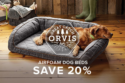 dog apparel stores near me