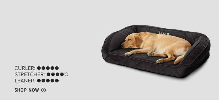 orvis chew proof dog beds