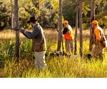 Quail Creek Plantation Fl