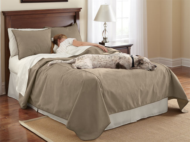 Reversible Dog-proof Coverlet And Matching Shams / Only Twin Coverlet, Bark