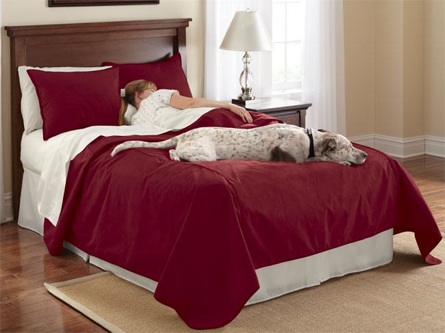 Reversible Dog-proof Coverlet And Matching Shams / Only King Coverlet, Burgundy,