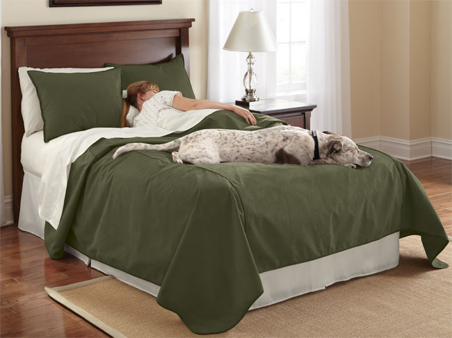 Reversible Dog-proof Coverlet And Matching Shams / Only King Coverlet, Moss,