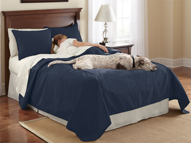 Reversible Dog-proof Coverlet And Matching Shams / Only King Coverlet, Navy,