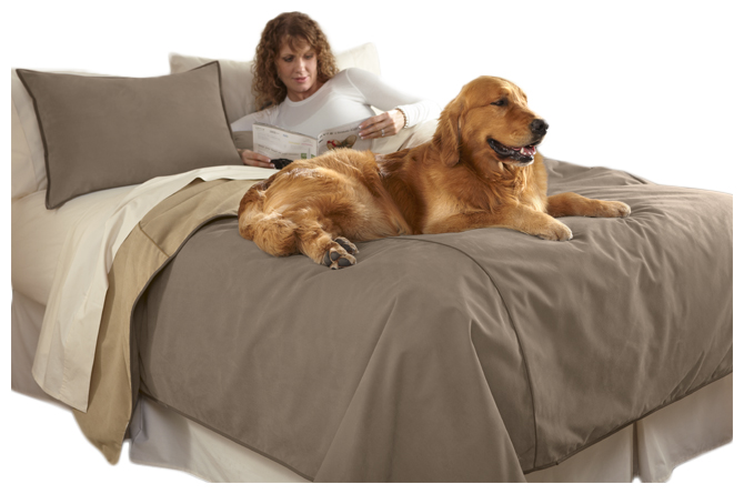 Reversible Dog-proof Coverlet And Matching Shams / Only Twin Coverlet