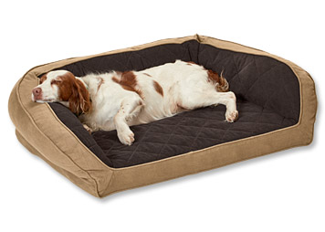 orvis waterproof dog bed