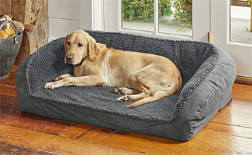 orvis sunbrella dog bed