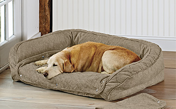 orvis sunbrella dog bed