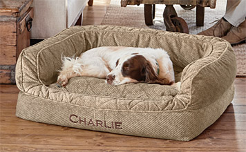 orvis sunbrella dog bed