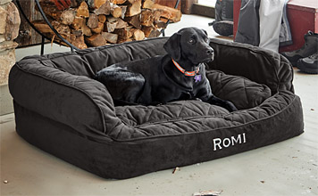 couch shaped dog beds