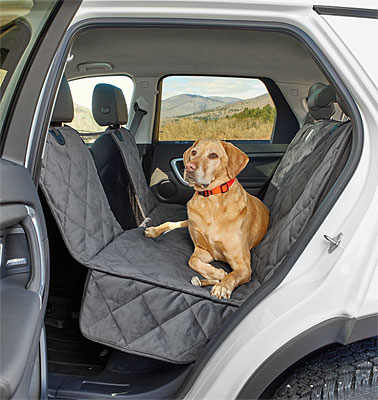 Dog Passenger Seat Cover Question Porsche Macan Forum