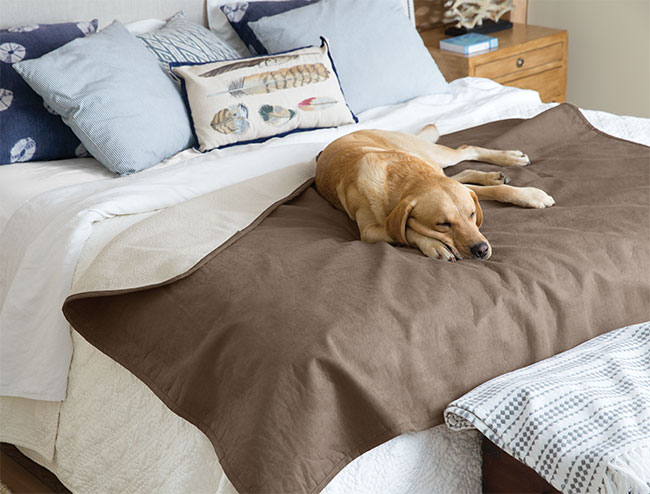 An easy-care, yet supremely soft and cuddly reversible throw blanket: fine fabric on one side and bonded Berber fleece on the other. Place it on a couch, over a chair, at the end of your bed, or anywhere your dog likes to snuggle that warrants a little protection from pet hair, dirt, and moisture. A special water-resistant material helps protect your furniture and bedding. Matches our lightweight coverlet. Available in two sizes. Polyester fabric and fleece. Washable. Imported.