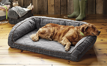 pets at home dog beds memory foam