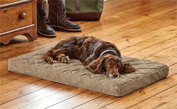 dog platform bed