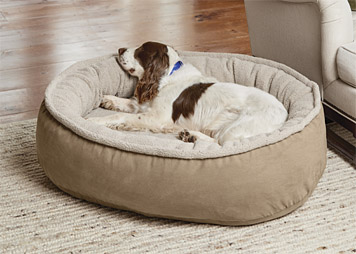 orvis round dog bed