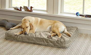 orvis waterproof dog bed