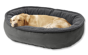 orvis round dog bed