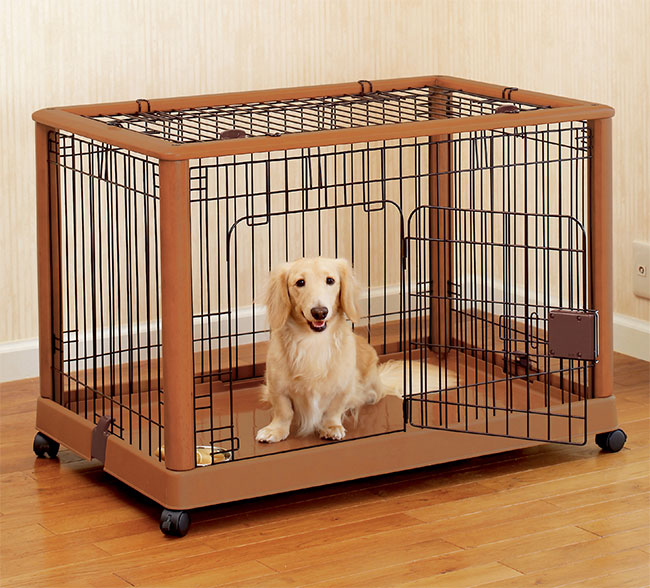 Should My Dog Have Water in Her Crate? - Orvis News