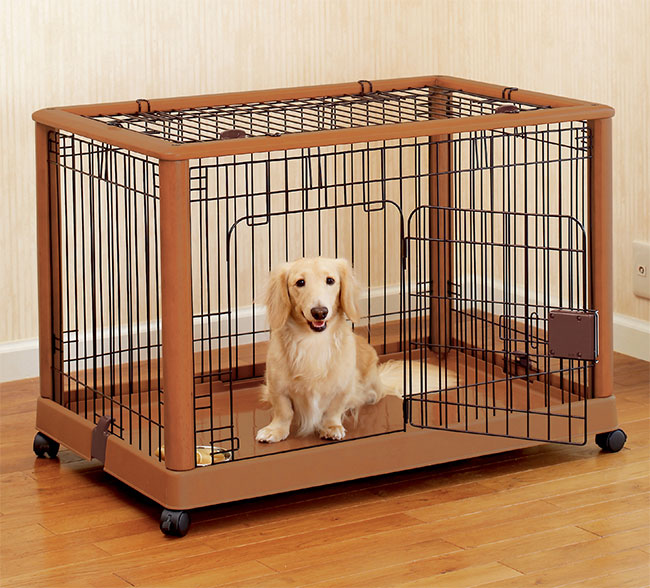 little dog cages