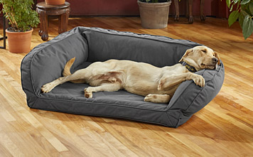 extra large dog beds clearance