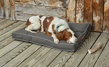 orvis sunbrella dog bed