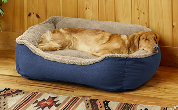 orvis dog beds australia