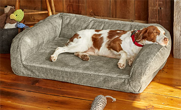 best bed for a dog that chews