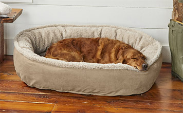 orvis sunbrella dog bed