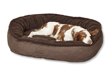 orvis sunbrella dog bed