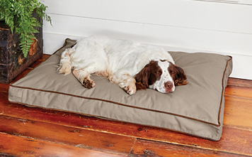 orvis dog beds australia