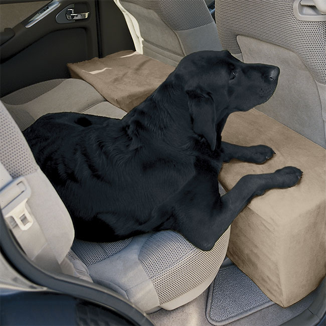 What to Do If Your Dog Hates Car Rides - Orvis News