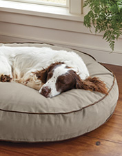 orvis round dog bed