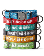orvis reflective dog collar