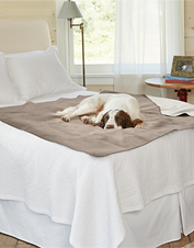 orvis sofa cover dog
