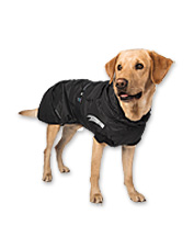 orvis barbour dog coats