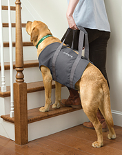 dog lifting harness pets at home