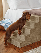 natural step dog ramp