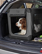 Products for Traveling With Dogs | Orvis